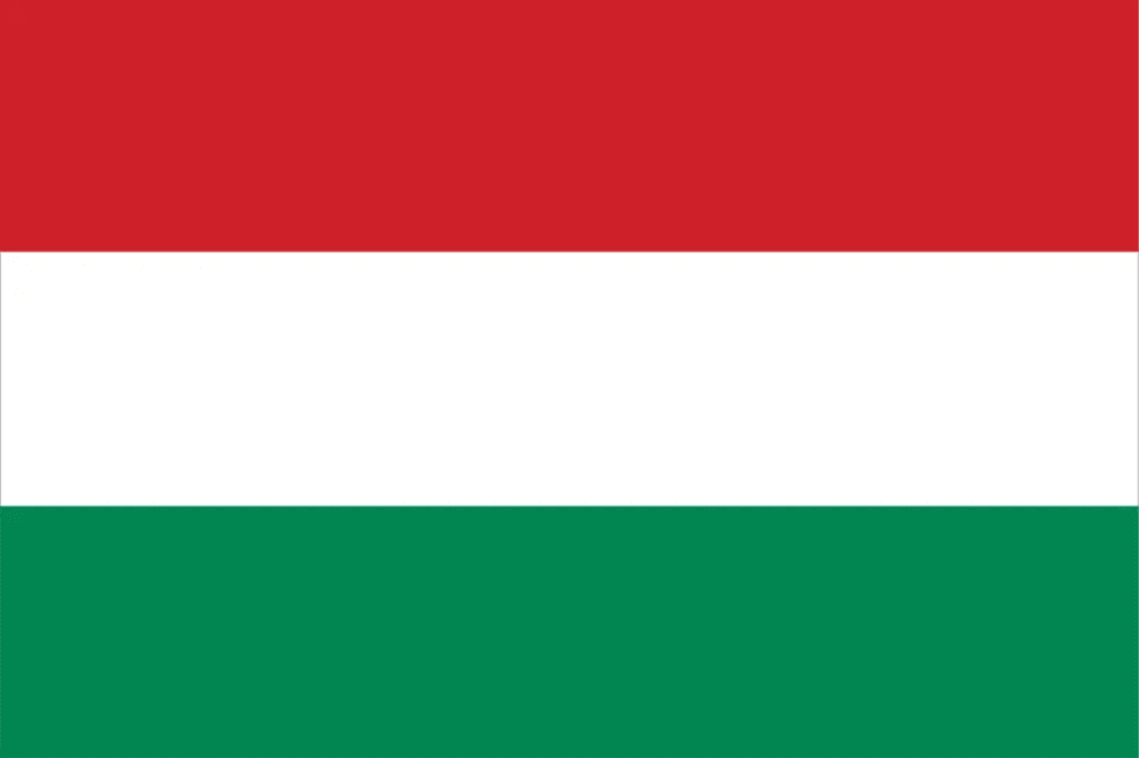Hungarian Translator
