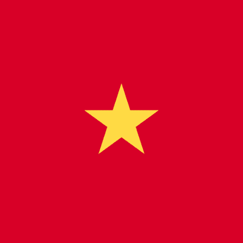 Vietnamese translation services in Australia for professional language solutions. 